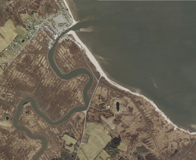 bowers 2017 collage crop