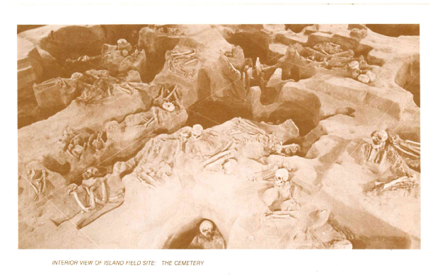 The-Island-Field-Museum-(1979)-pg3