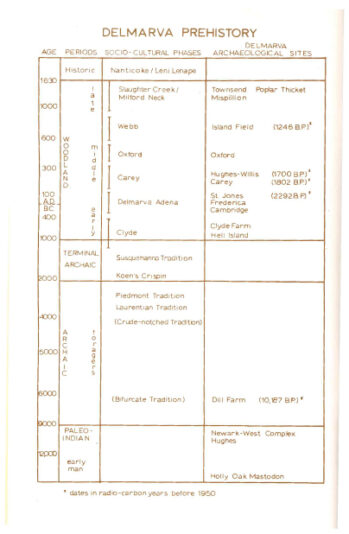 The-Island-Field-Museum-(1979)-pg6