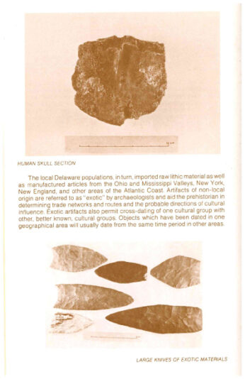 The-Island-Field-Museum-(1979)-pg10
