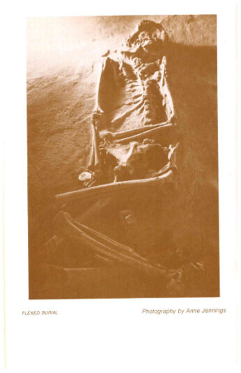 The-Island-Field-Museum-(1979)-pg12