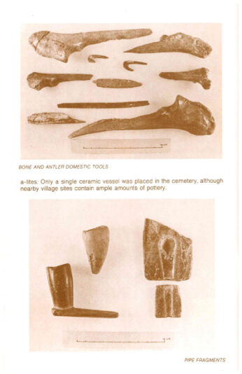 The-Island-Field-Museum-(1979)-pg14