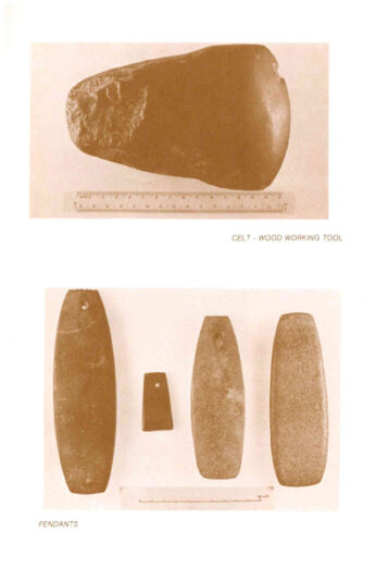 The-Island-Field-Museum-(1979)-pg17